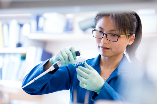 Suliman lab