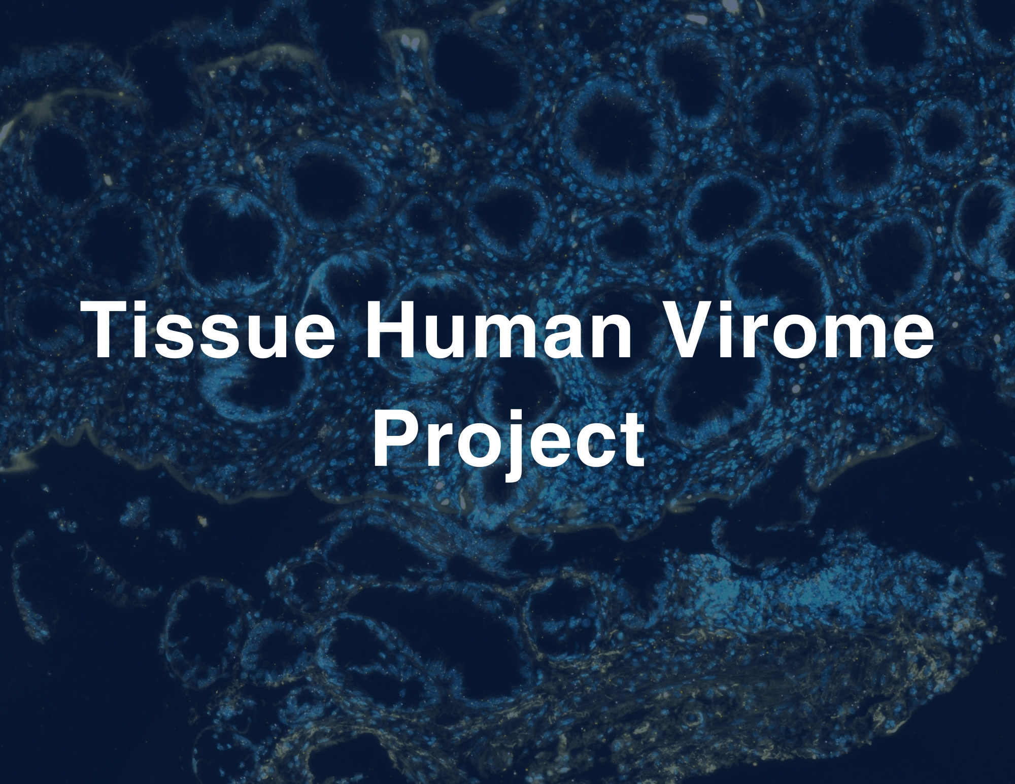 Tissue Human Virome Project